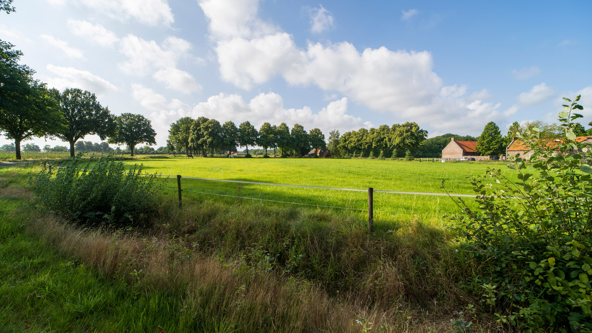 Berckmans & Beerens